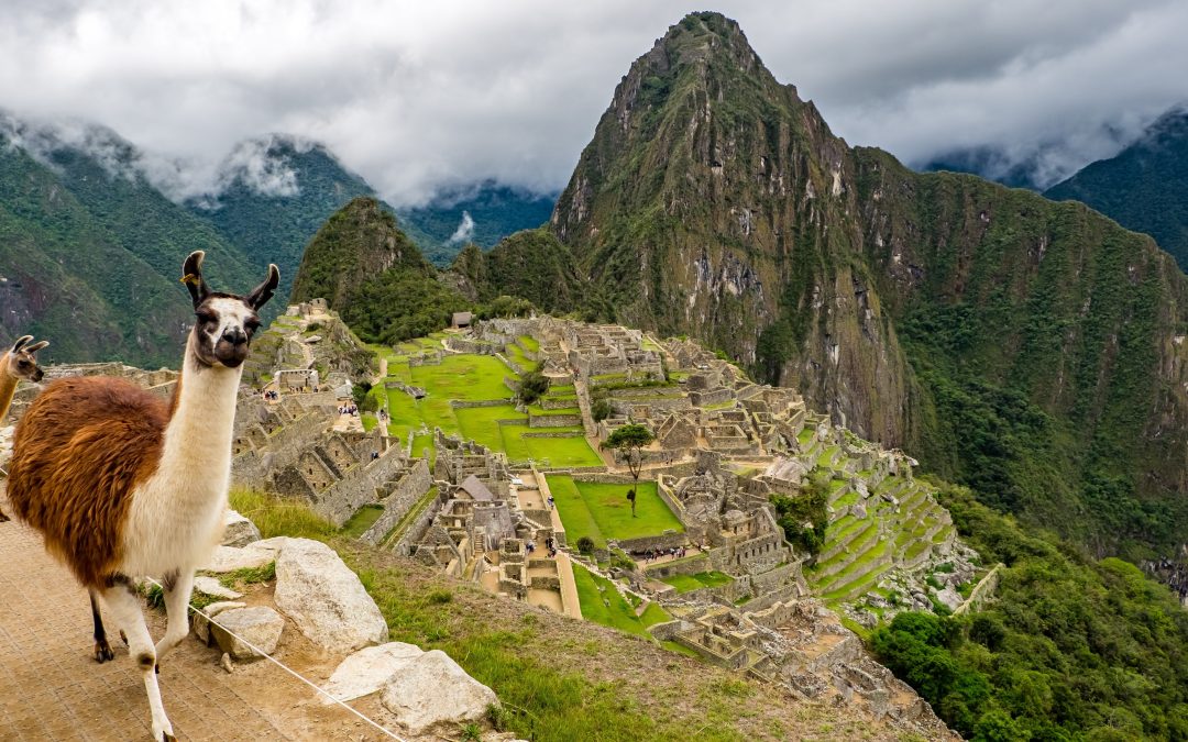 Újabb titkot rejtett Machu Picchu: több mint 2,5 kilométernyi ősi utat találtak a dzsungelben